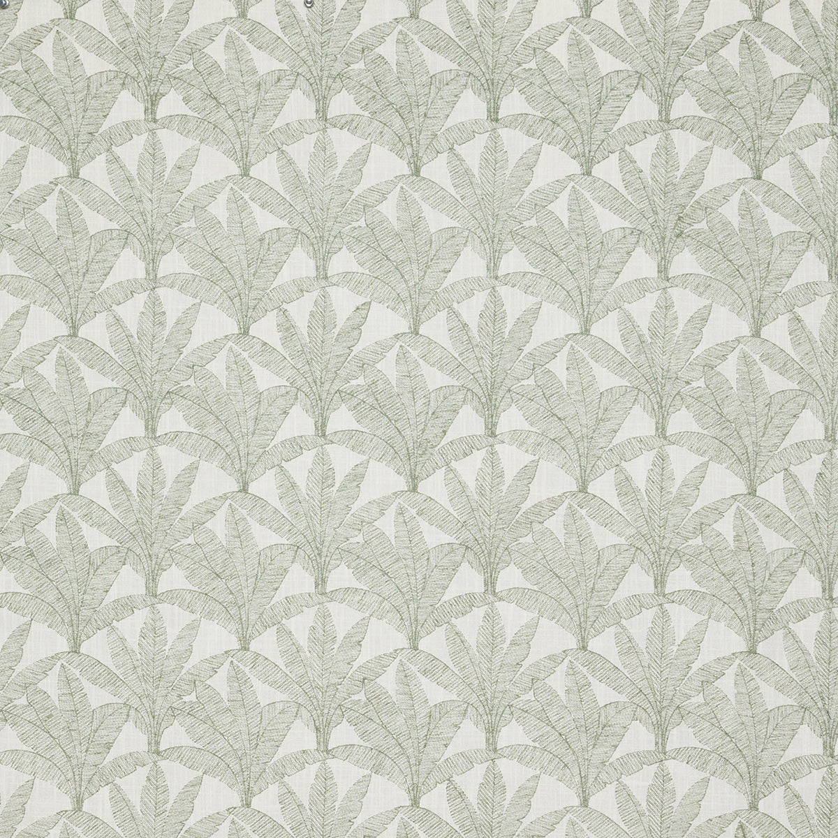 8485-trina-frond-pindler