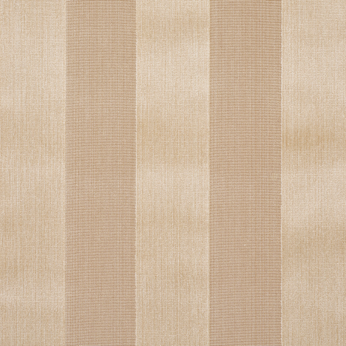 CUNARD-STRI-VELVET-CHAMPAGNE-SCHUMACHER-84870