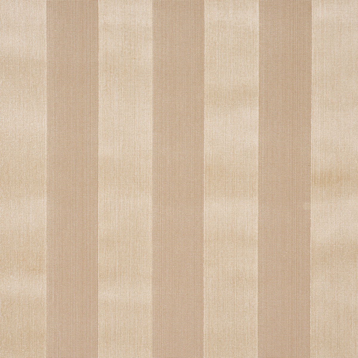 CUNARD-STRI-VELVET-CHAMPAGNE-SCHUMACHER-84870