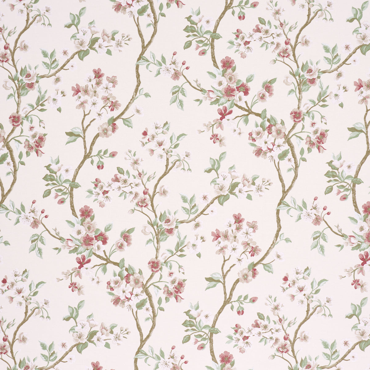 CHERRY-BLOSSOM-CHERRY-SCHUMACHER-86221