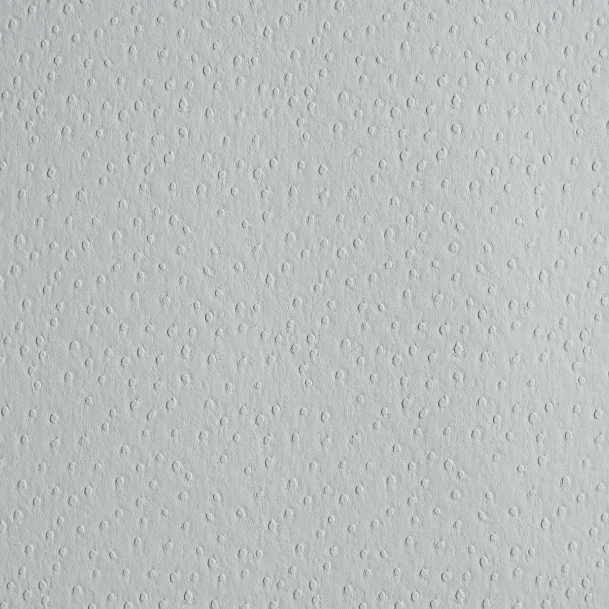 OSTRICH-VEGAN-LEATHER-FOG-SCHUMACHER-87282