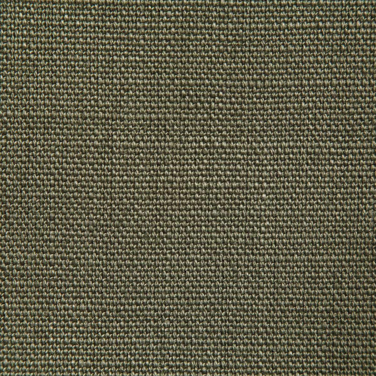 9122-ghent-lichen-pindler