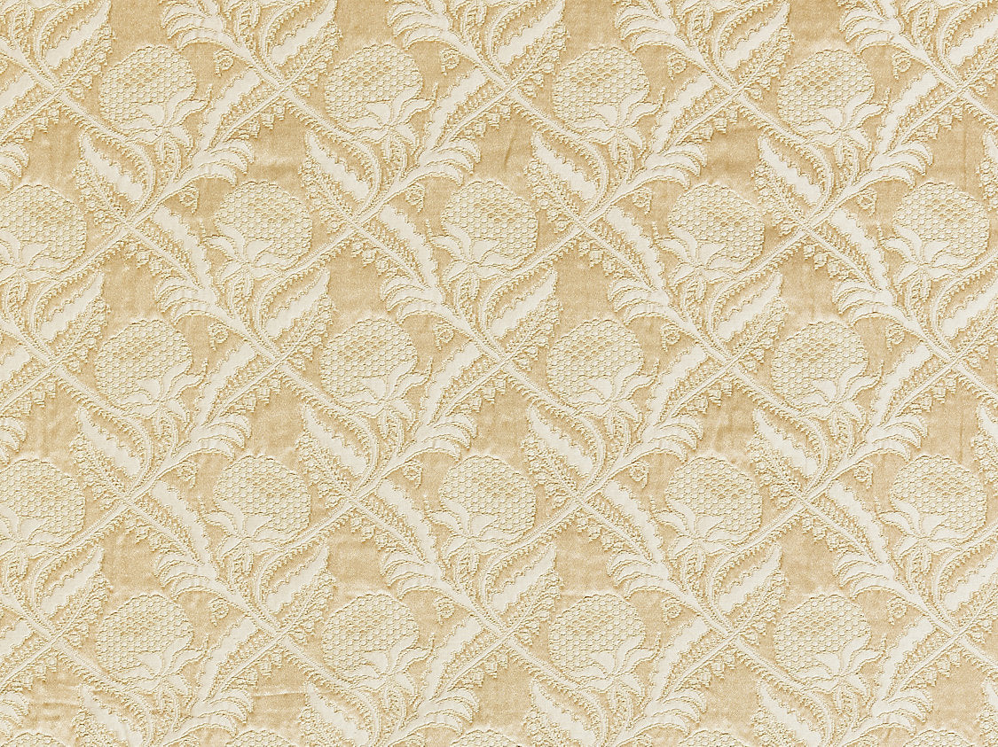 Droguet Lampas - Beige - Scalamandre Fabric