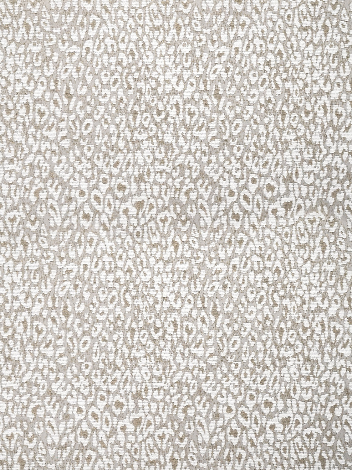 Leopard - White Star