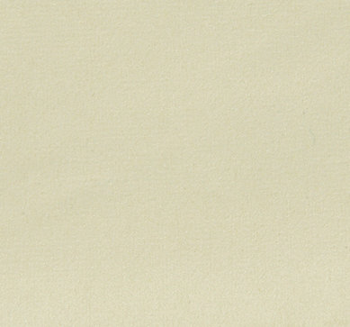 Thara - Vanilla - Scalamandre Fabric