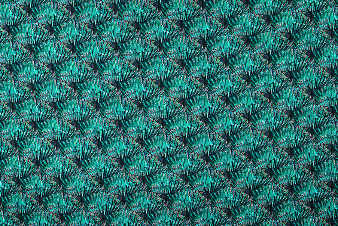 Guilty - Peacock Blue