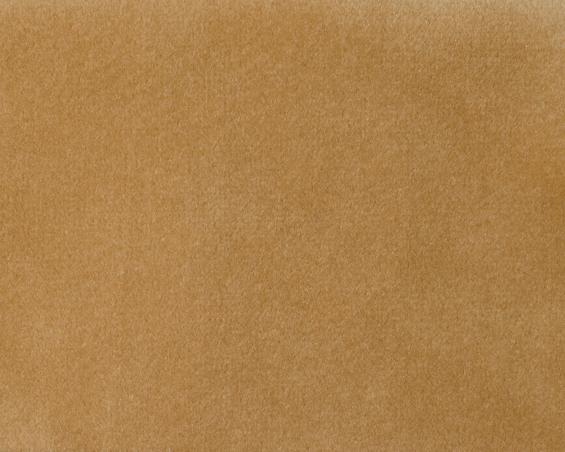 Safety Velvet - Latte - Scalamandre Fabric