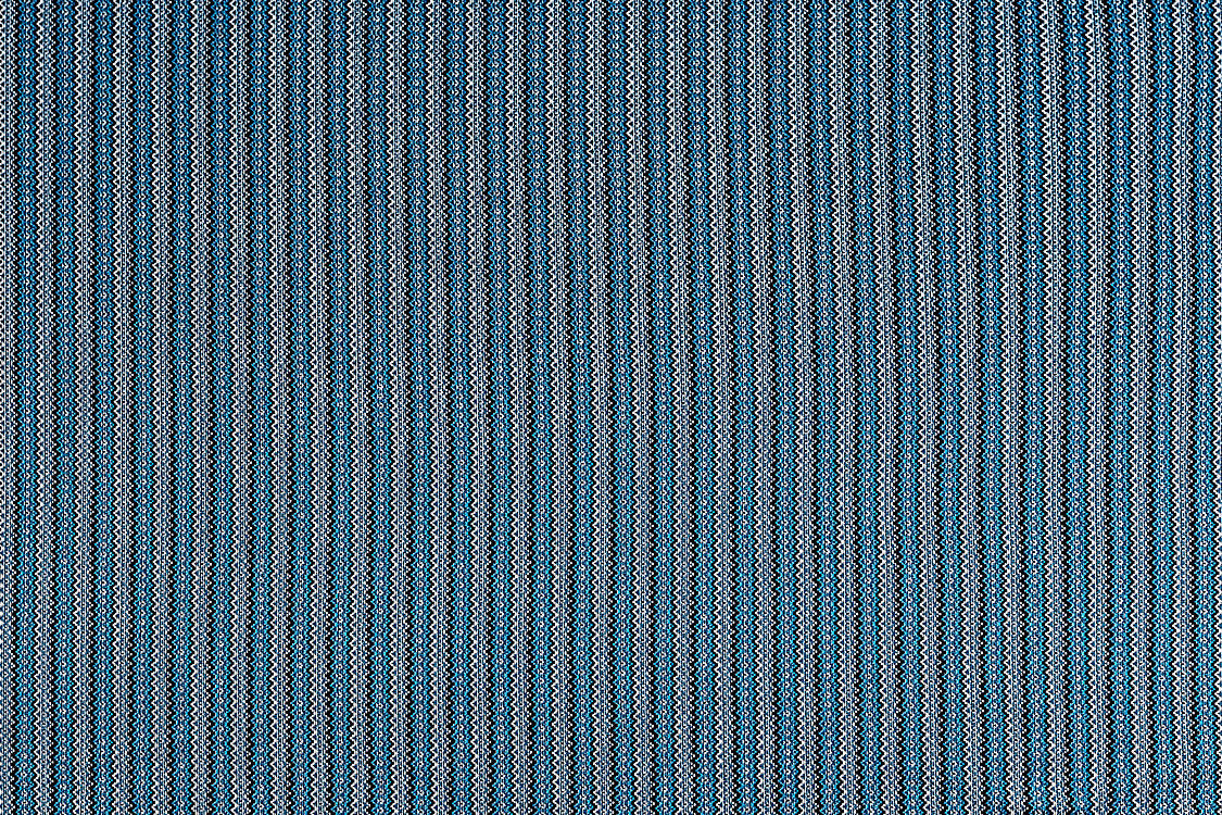 Carvalhal - Cyanotype Blue - Scalamandre Fabric