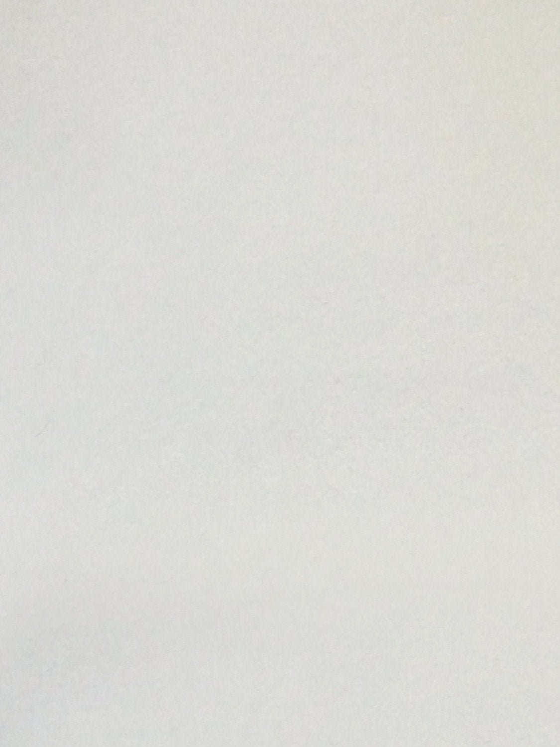 Sucesso | Wide Width Velvet - White