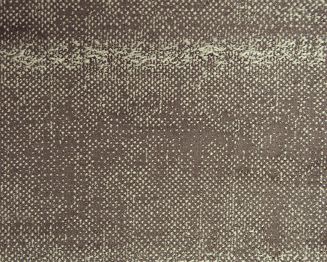 Kim - Charcoal On Silver - Scalamandre Fabric