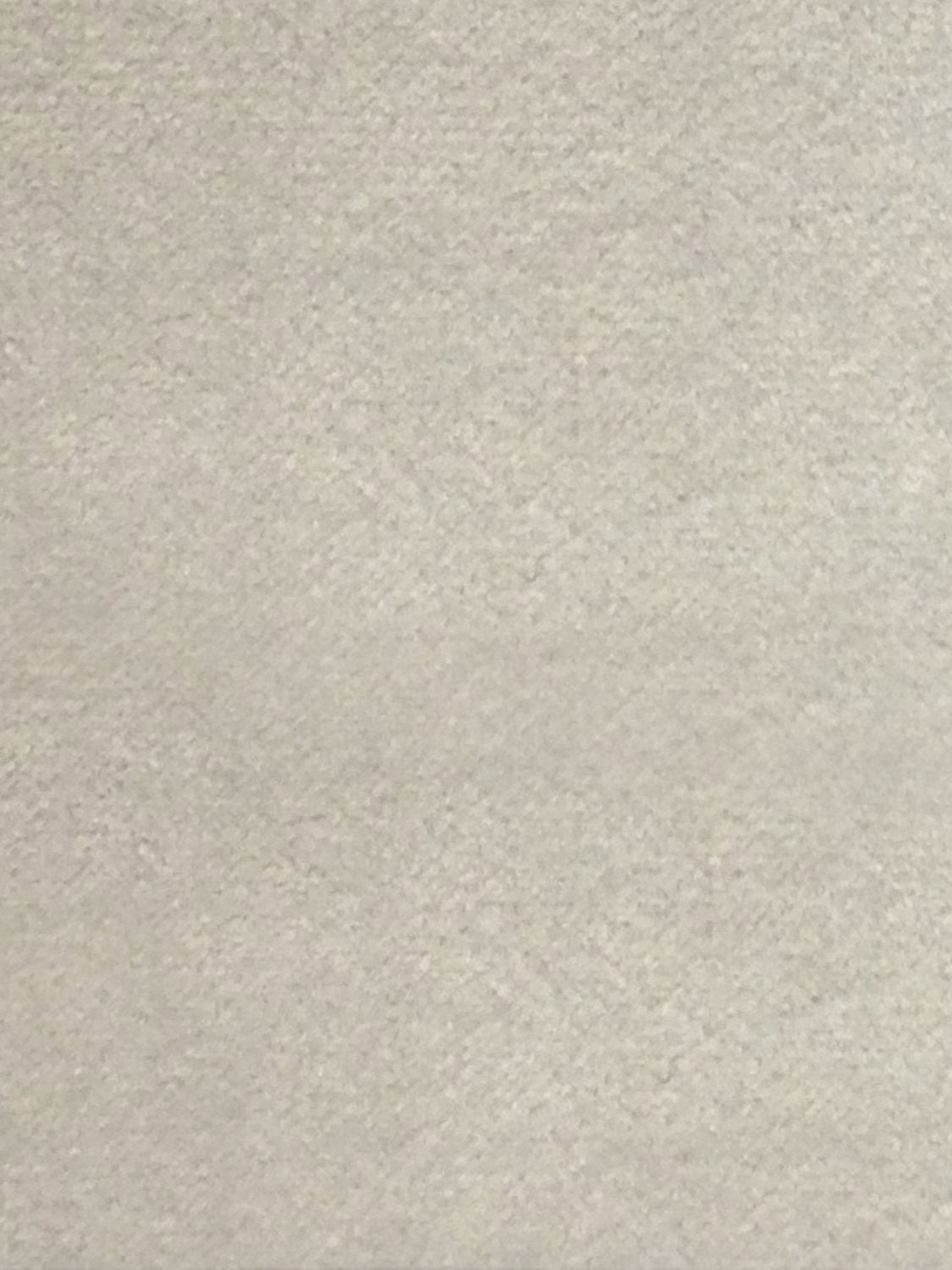 Sucesso | Wide Width Velvet - Light Greige
