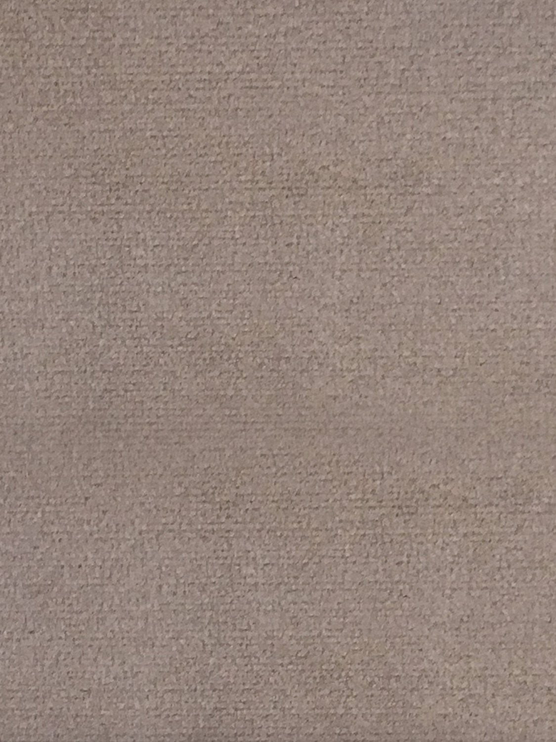 Sucesso | Wide Width Velvet - Taupe - Scalamandre Fabric
