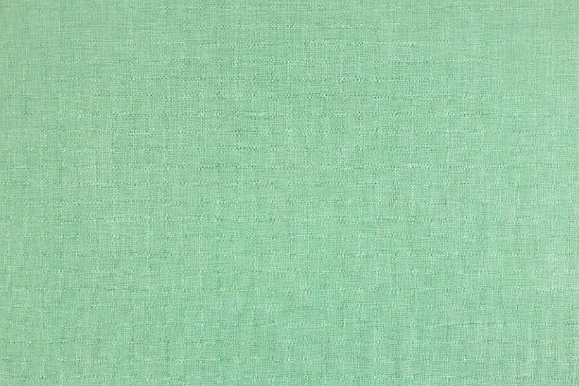 Sal - Fresh Mint - Scalamandre Fabric