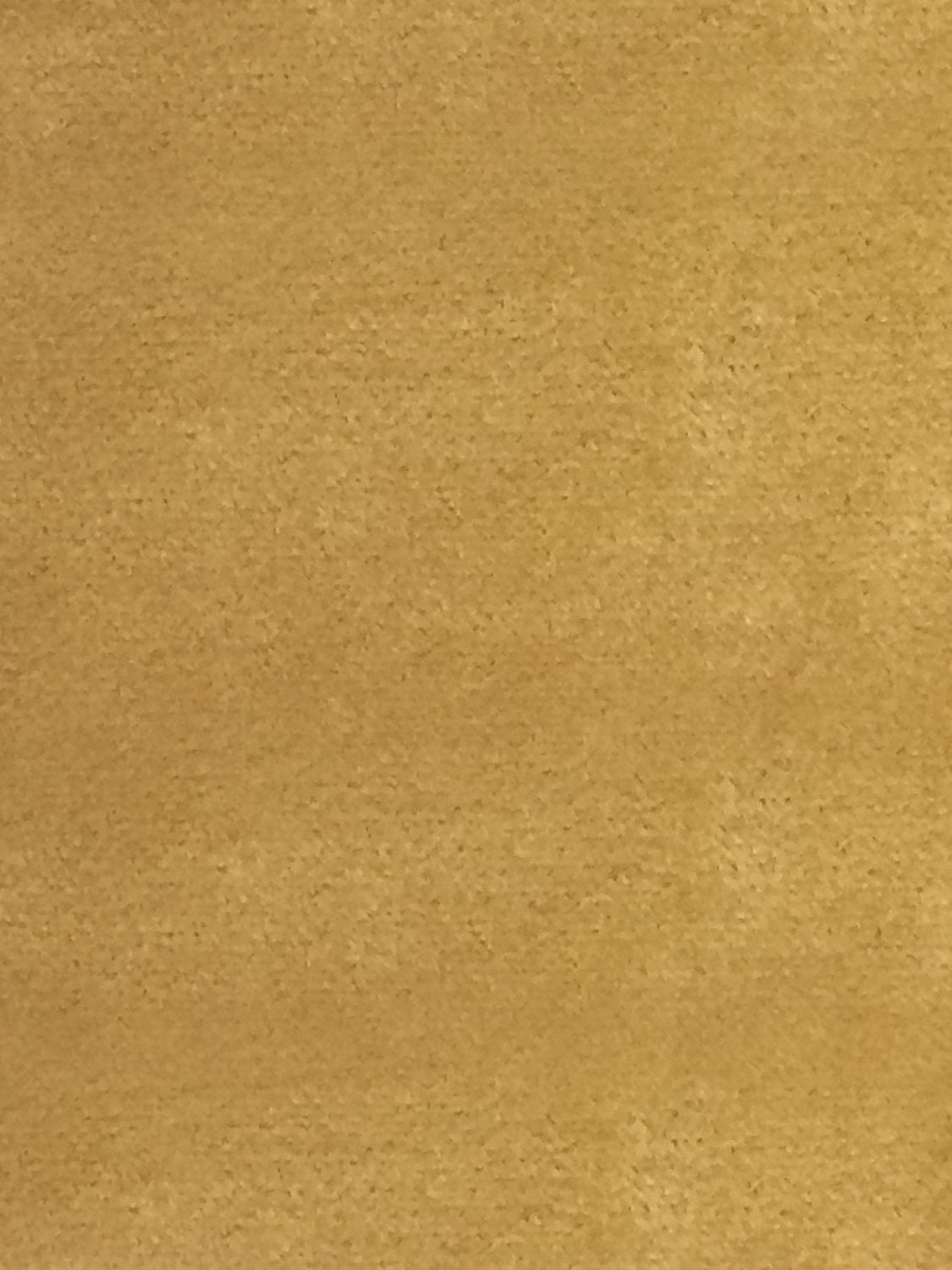 Sucesso | Wide Width Velvet - Honey