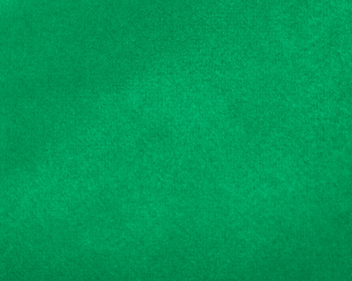 Safety Velvet - Tropikal Green - Scalamandre Fabric