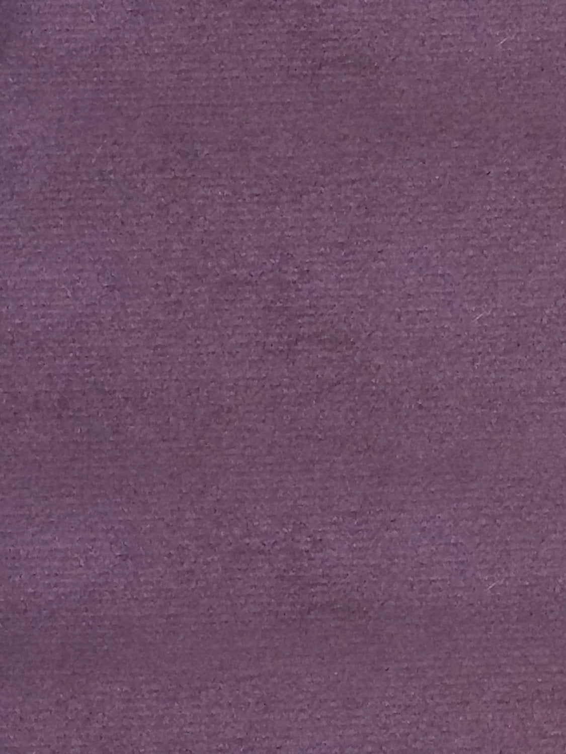 Sucesso | Wide Width Velvet - Deep Purple - Scalamandre Fabric