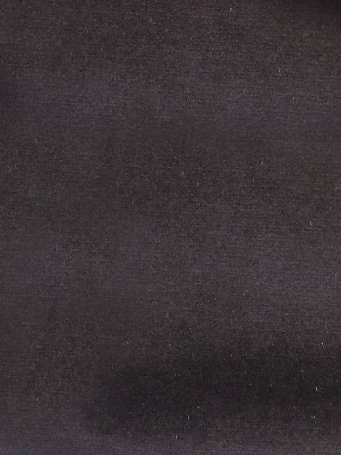 Sucesso | Wide Width Velvet - Bluish Black