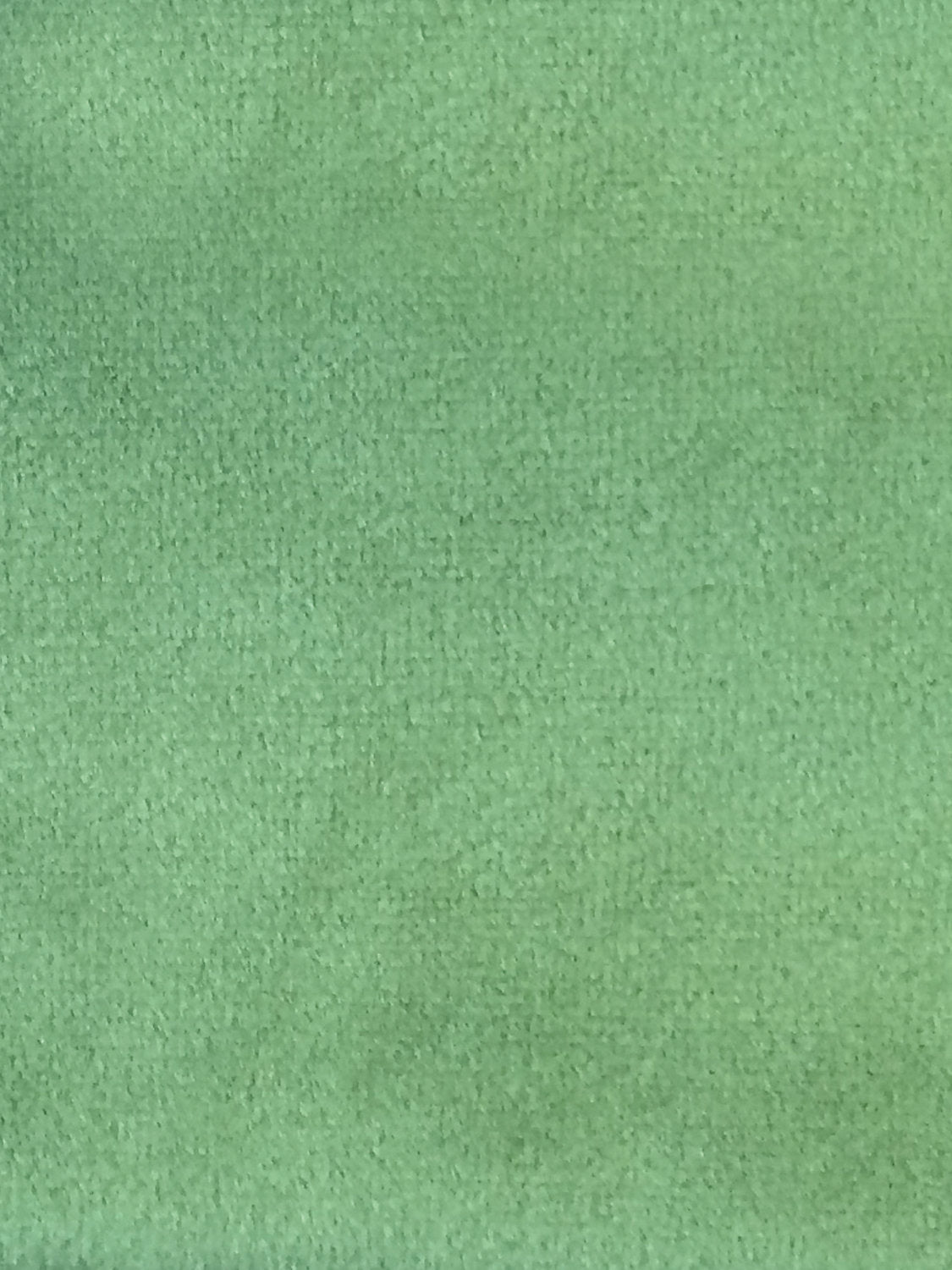 Sucesso | Wide Width Velvet - Palm Green