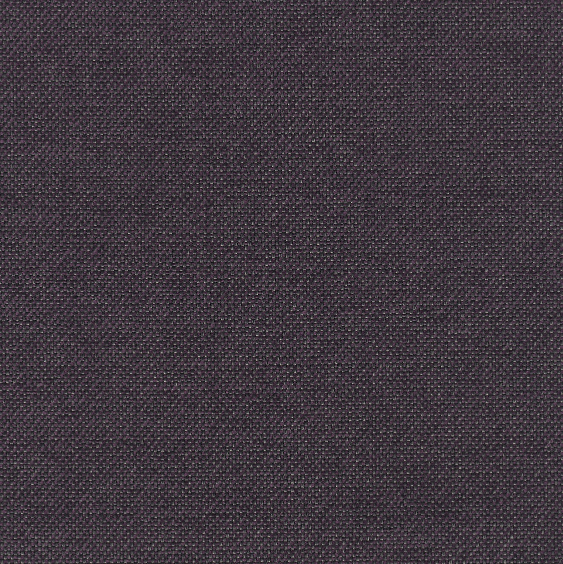 Slow - Purple