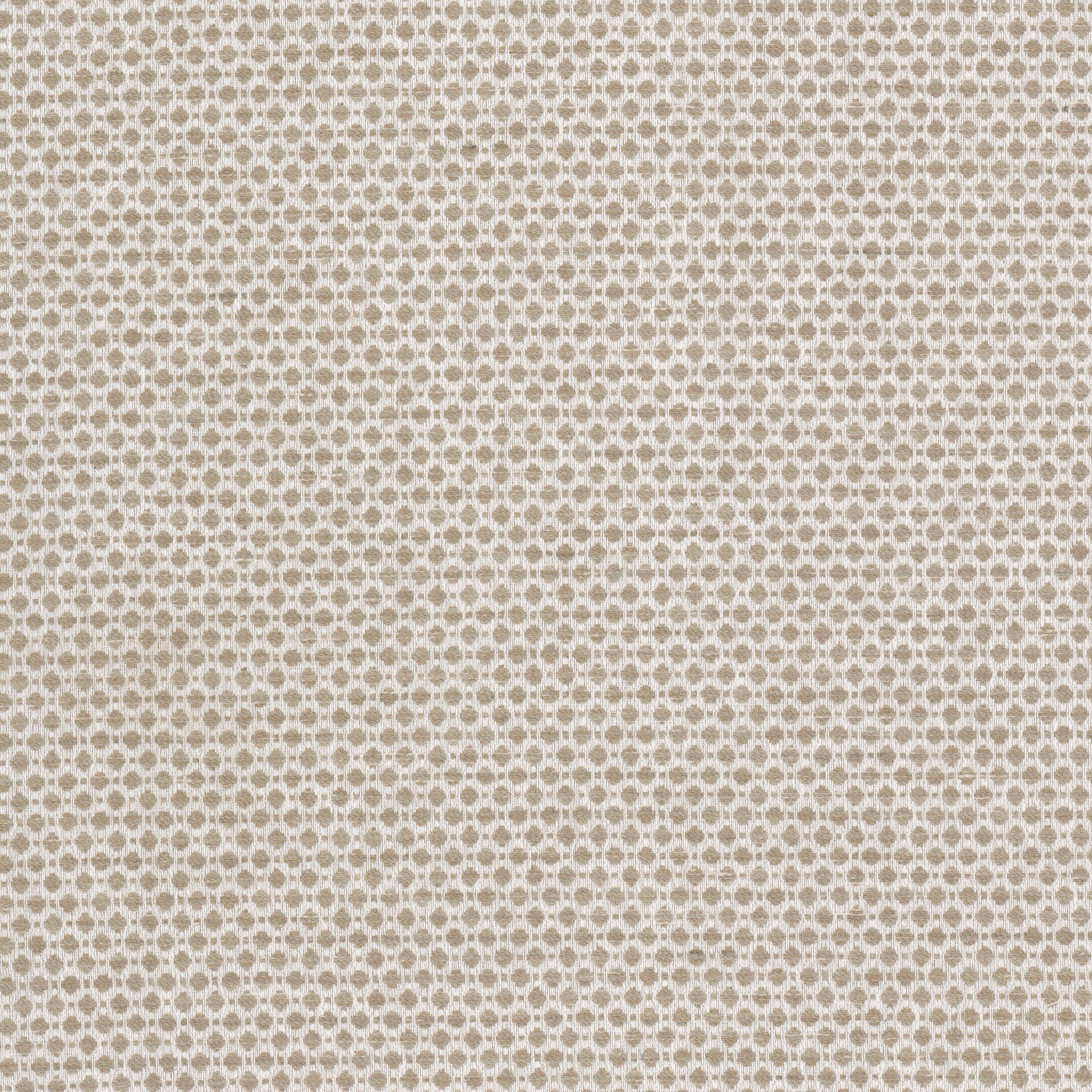 ABLOOM-4-TOAST-STOUT-TEXTILES