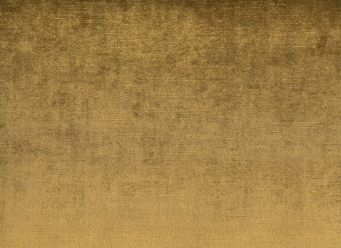 Taos - Federal Gold