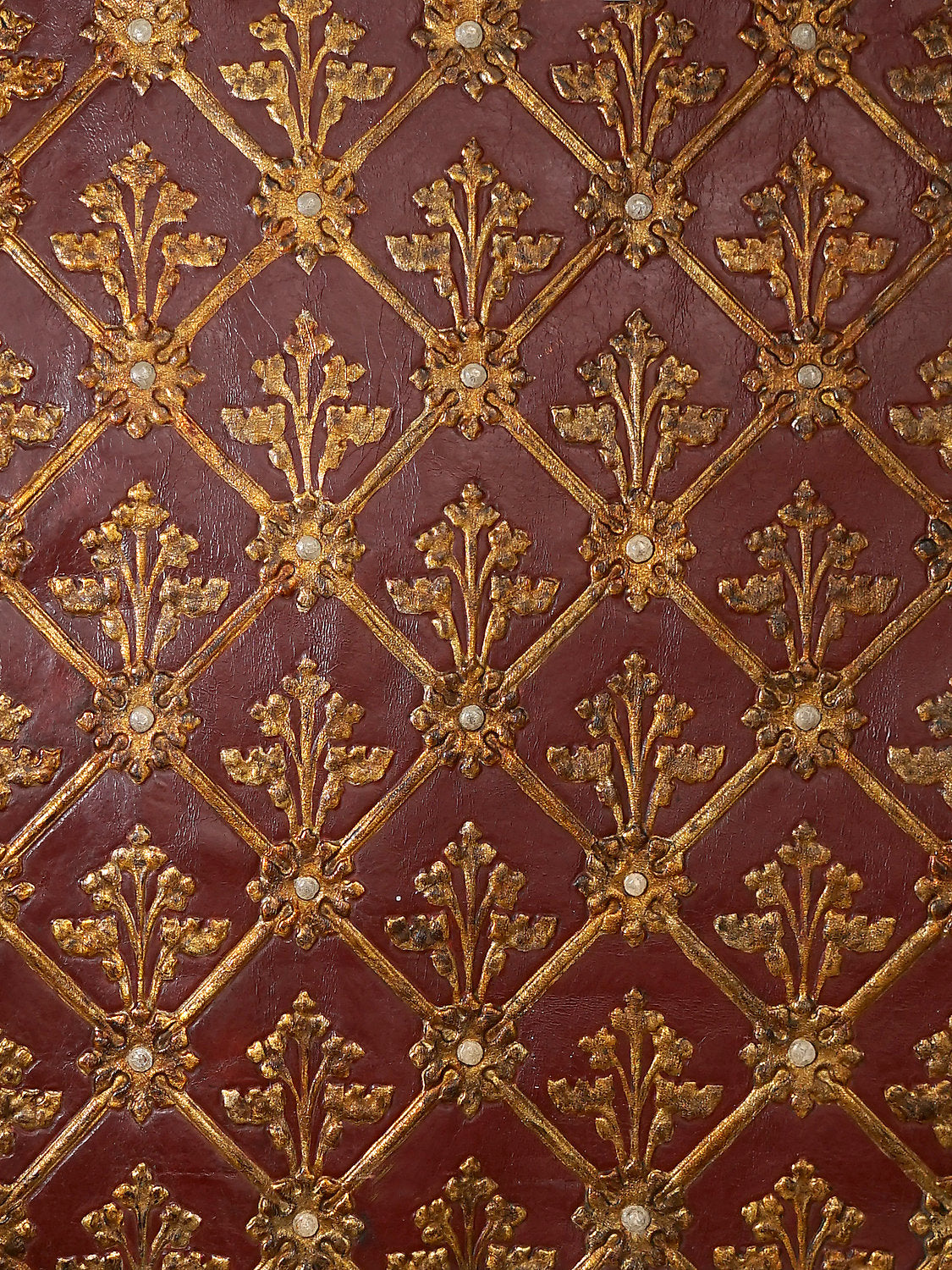 Cuir Resille - Red/Gold