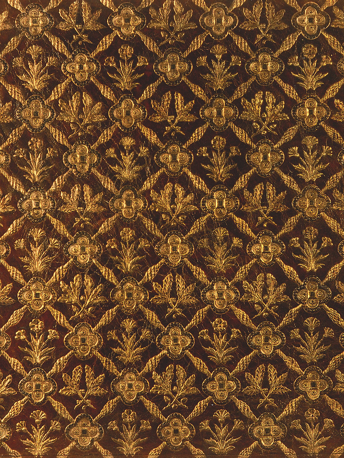 Cuir Chene - Red/Gold