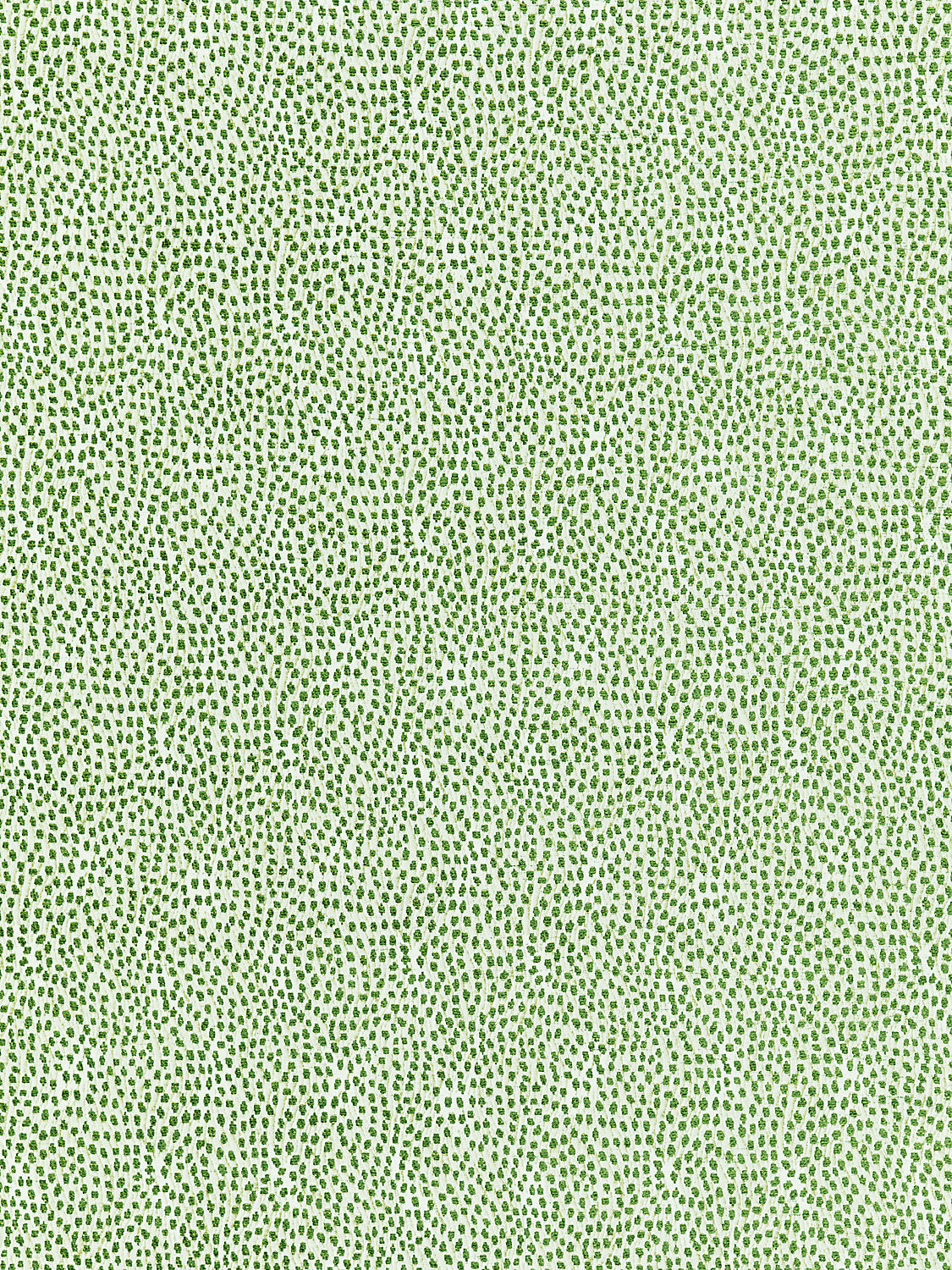Flurry - Leaf - Scalamandre Fabric