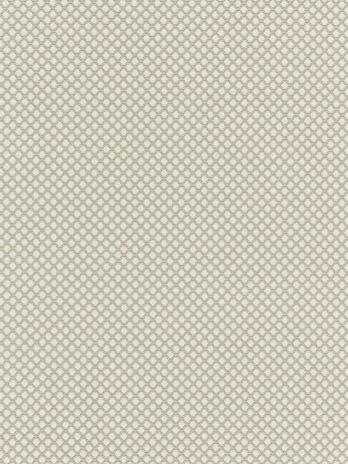 Bellaire Trellis - Flax - Scalamandre Fabric