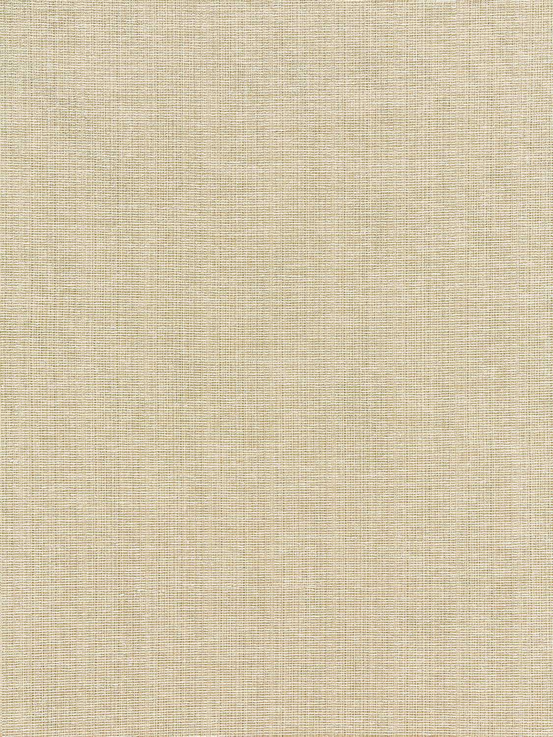 Thompson Chenille - Wheat - Scalamandre Fabric