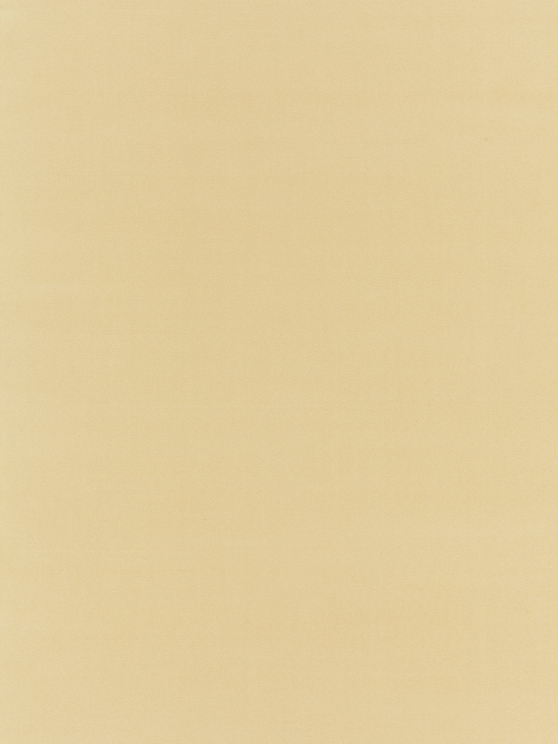 Richmond Velvet - Chamois - Scalamandre Fabric