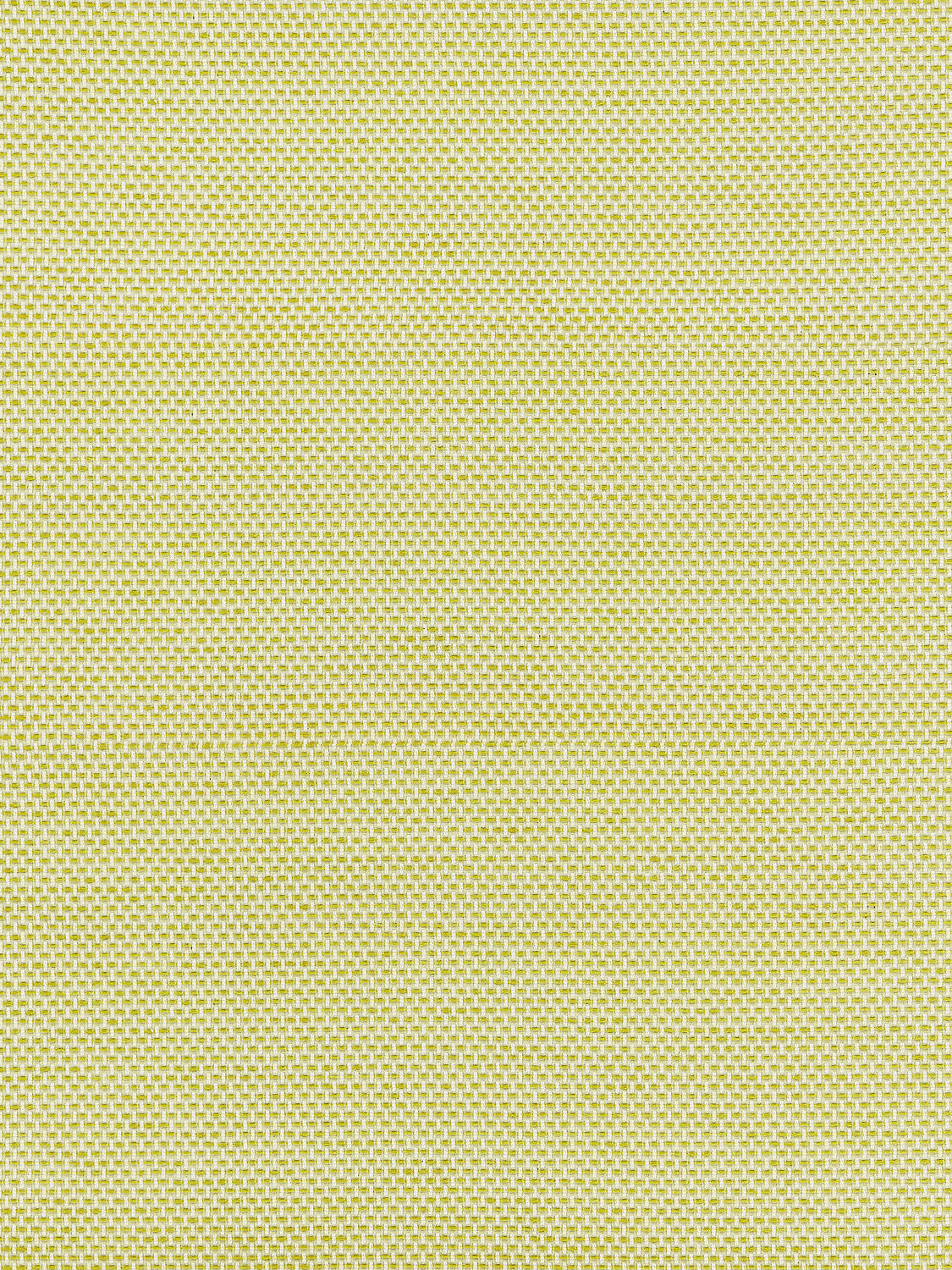 Berkshire Weave - Lime