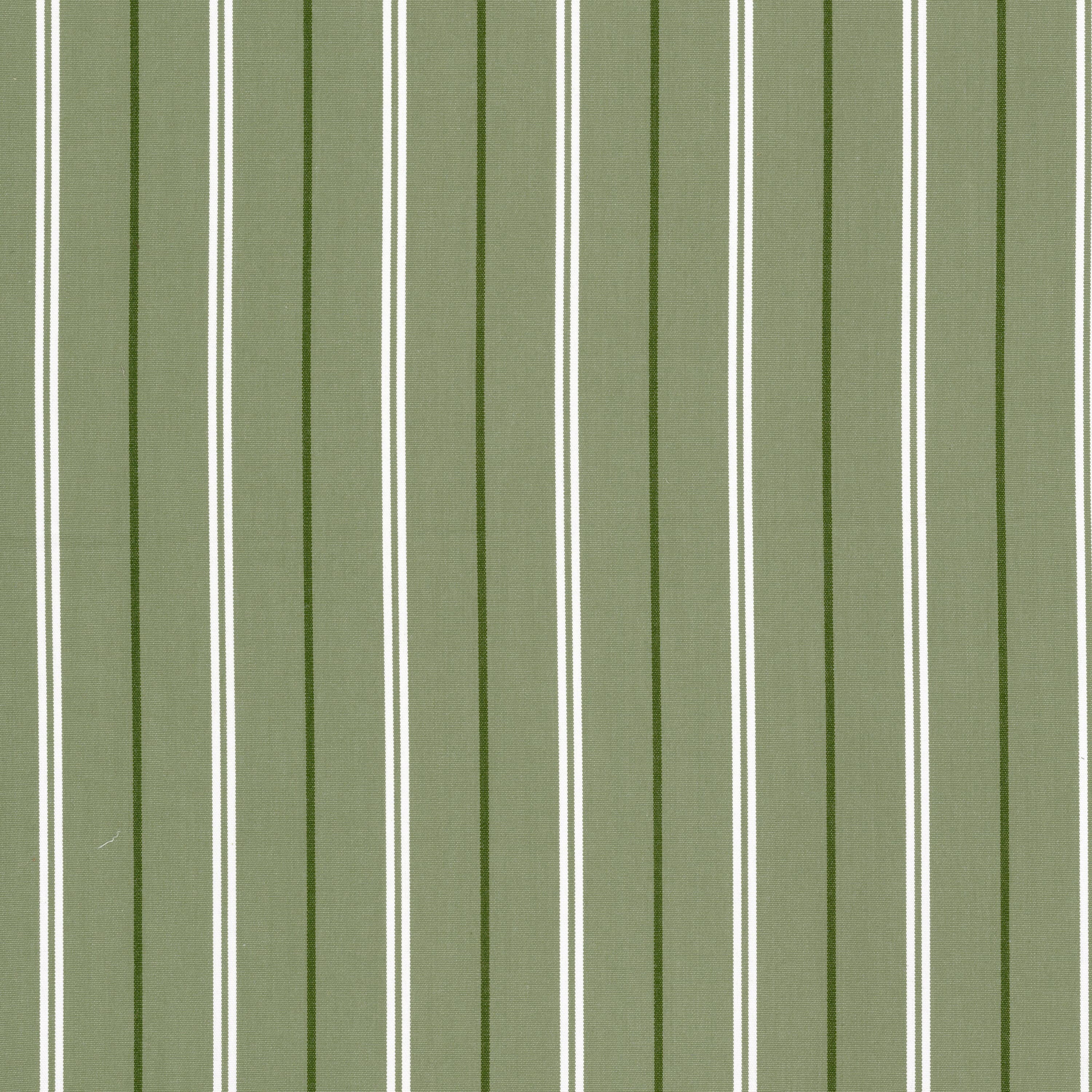 Boretti 1 Pistachio by Stout Fabric