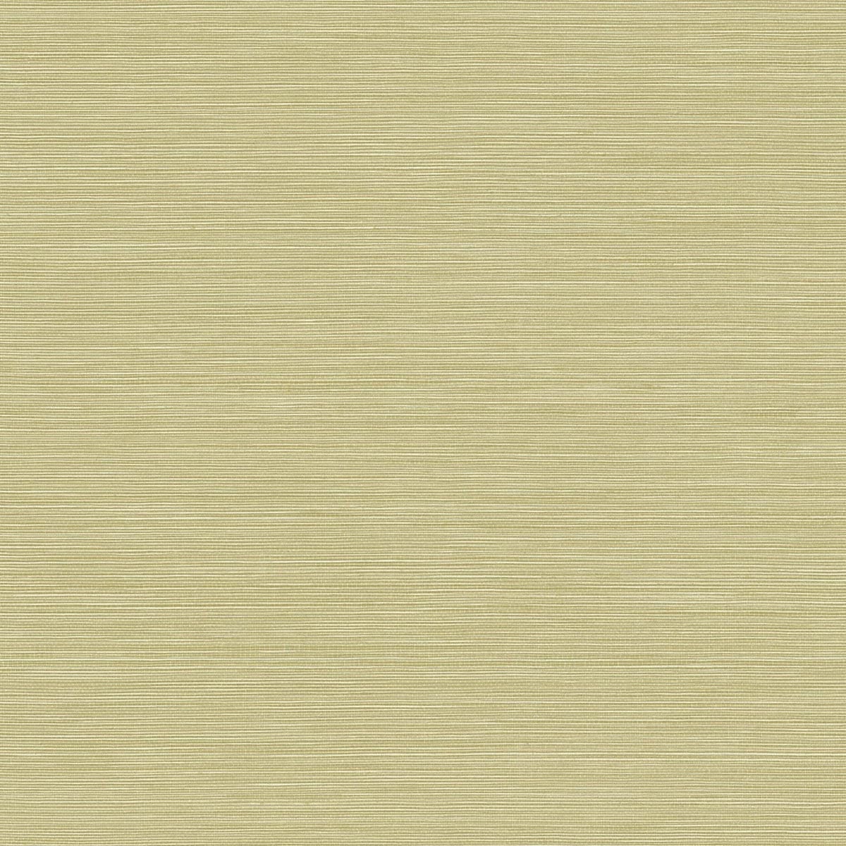 Seabrook Designs BV30454 Texture Gallery Coastal Hemp  Wallpaper Aloe 