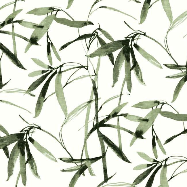 bamboo-ink-wallpaper-green-black-york-wallcoverings-bw3842