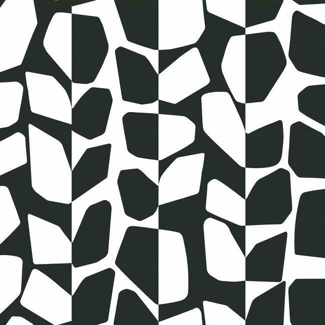 primitive-vines-wallpaper-black-white-york-wallcoverings-bw3893