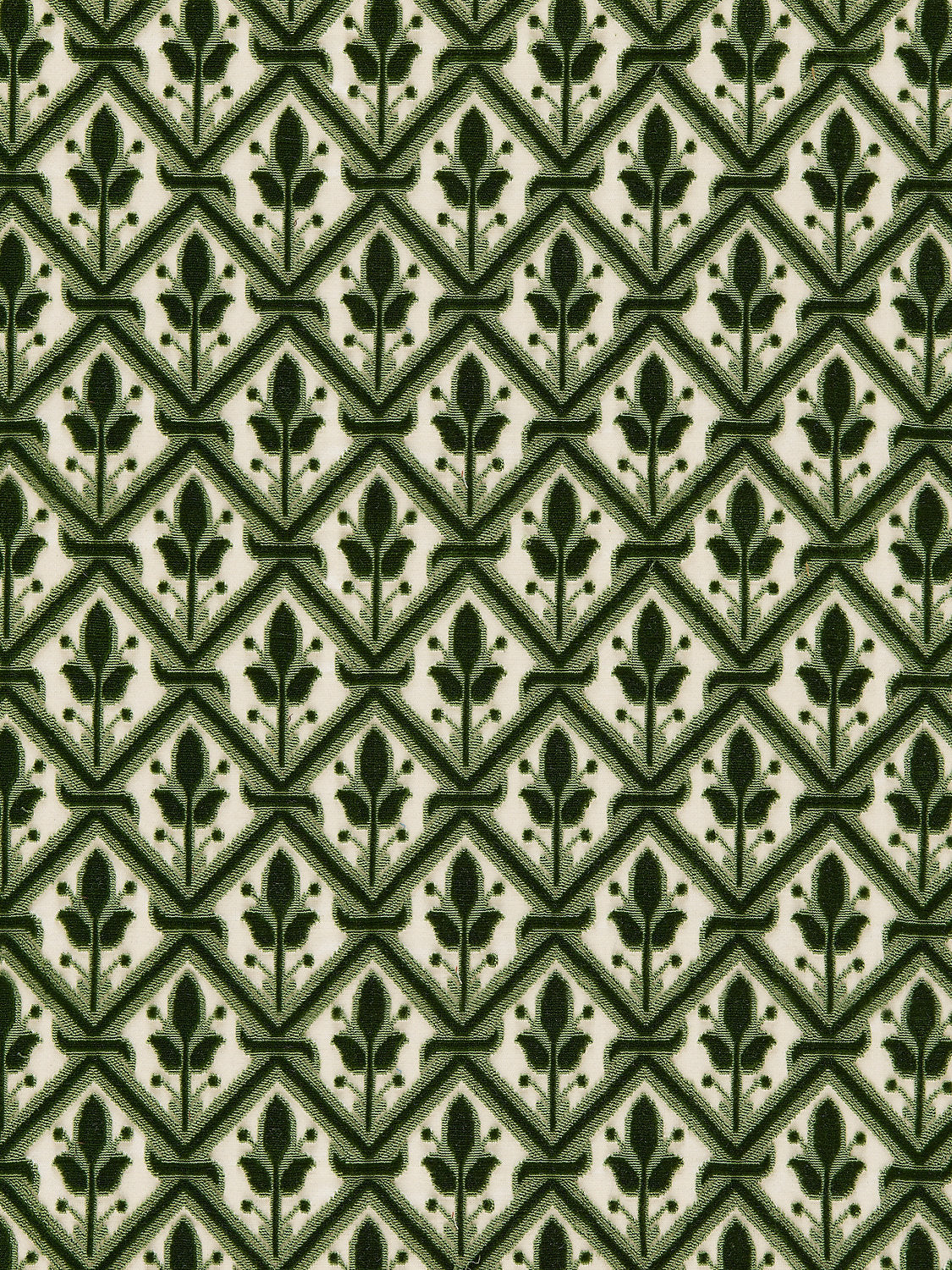 Bambert - Emerald