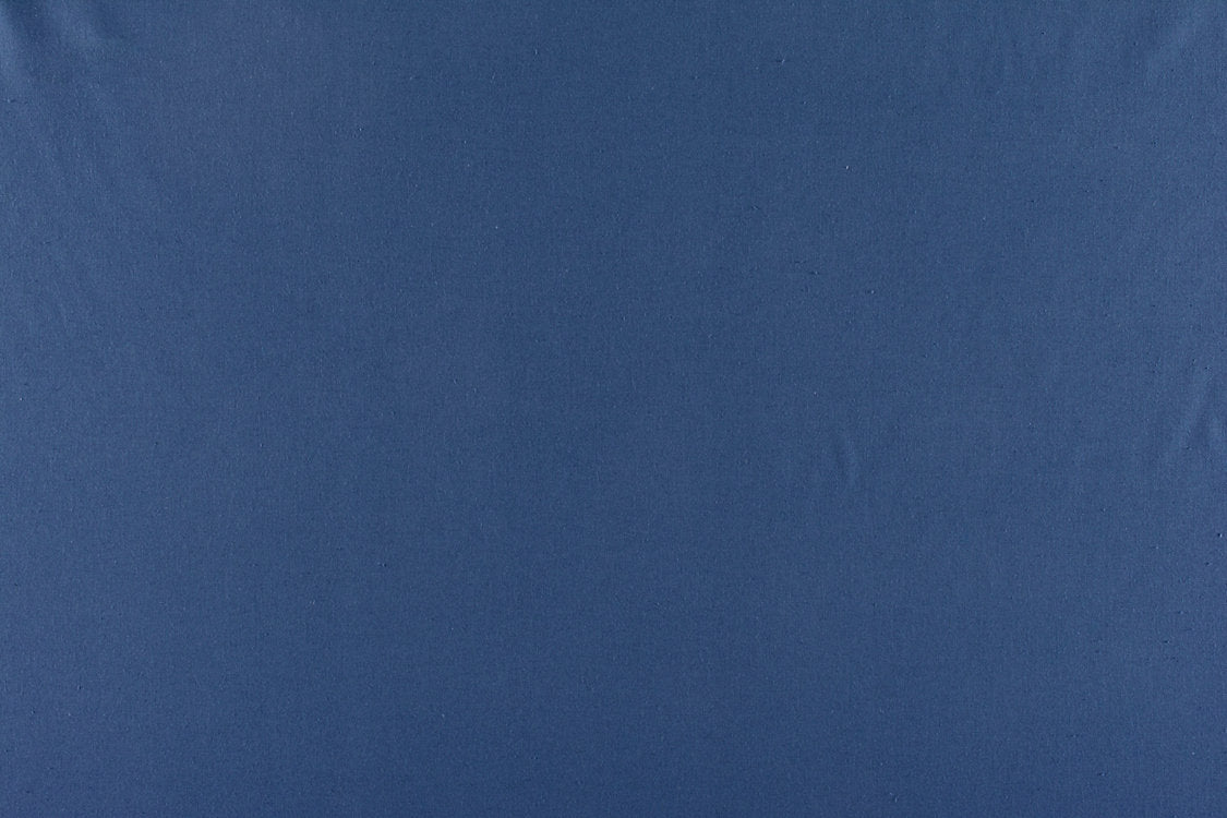 Canvas - Navy - Scalamandre Fabric