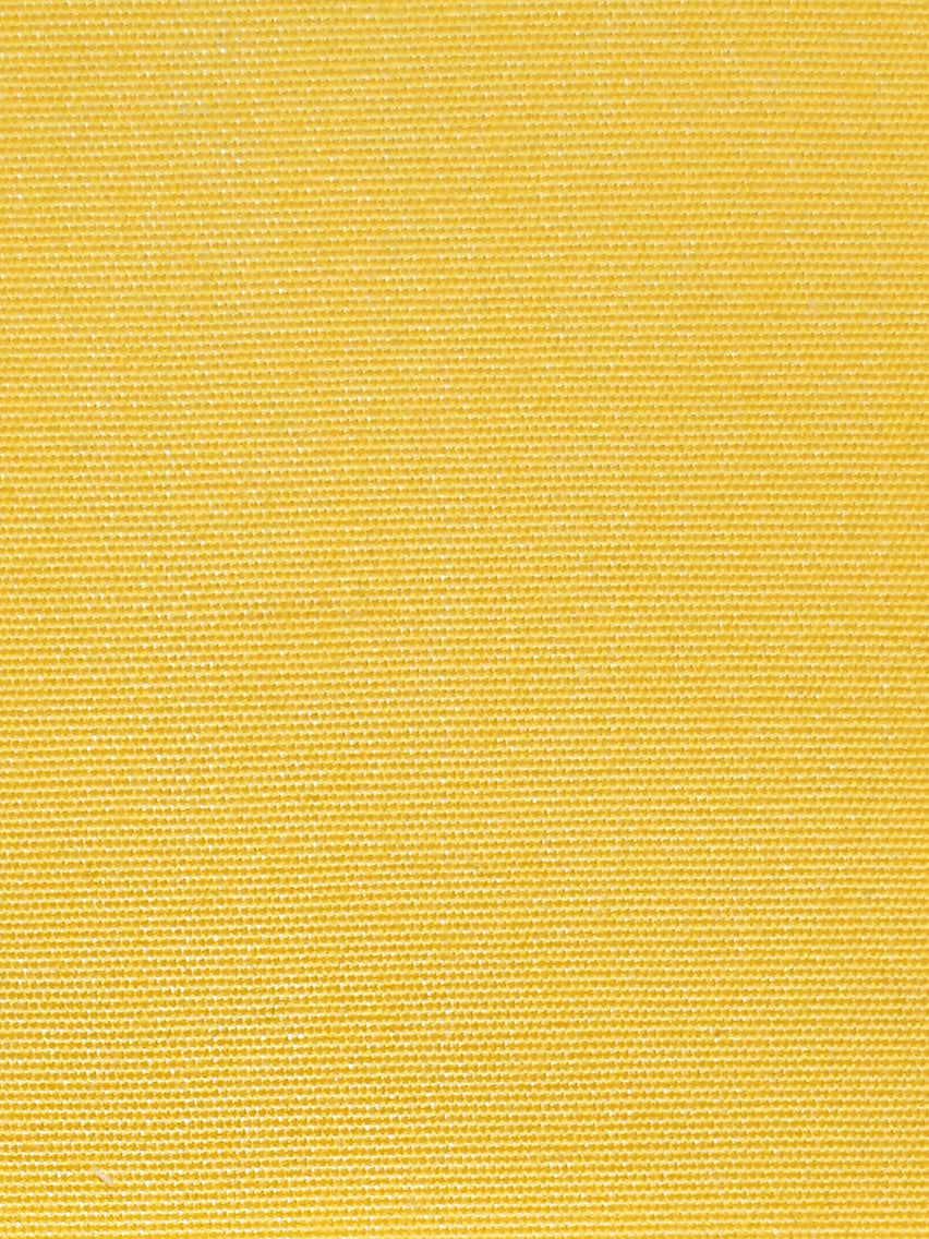 Antibes - Citron - Scalamandre Fabric