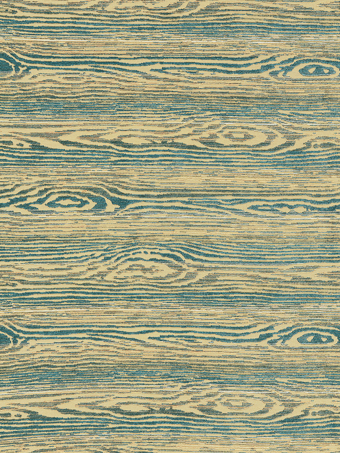 Muir Woods - Blue Jay