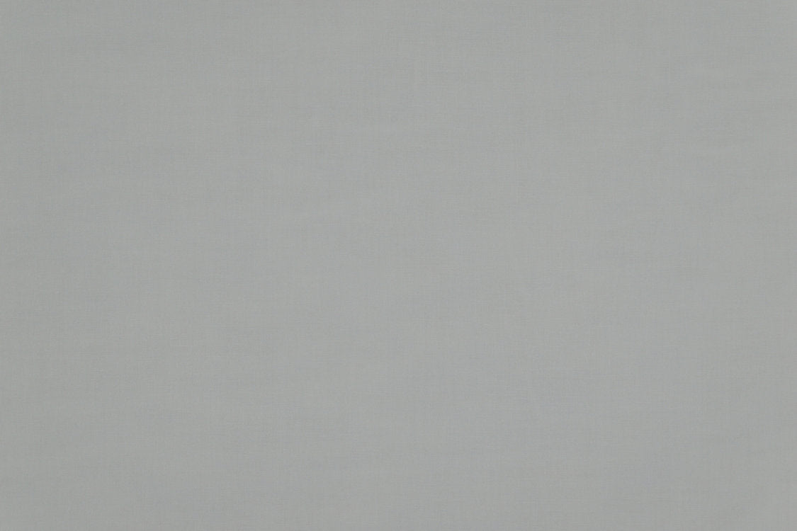 Madrid Cs Iv - Gray - Scalamandre Fabric