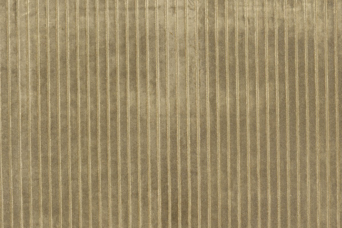 Velvet Stripe - Khaki