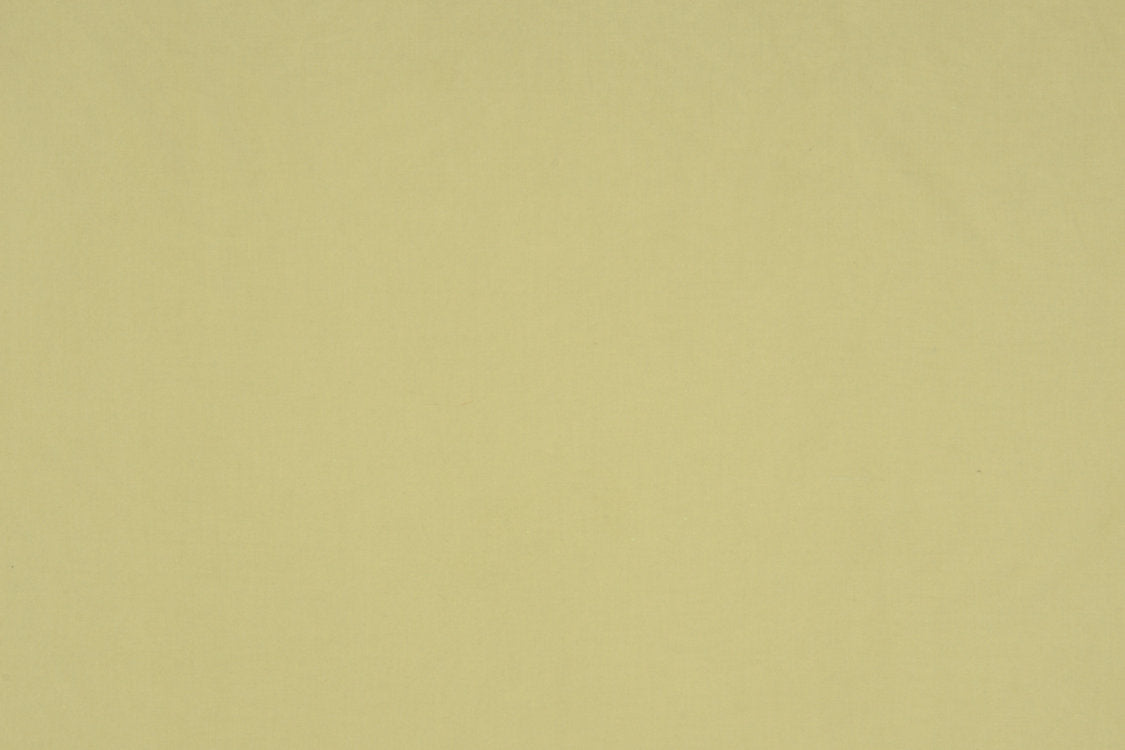 Sonatine - Kiwi