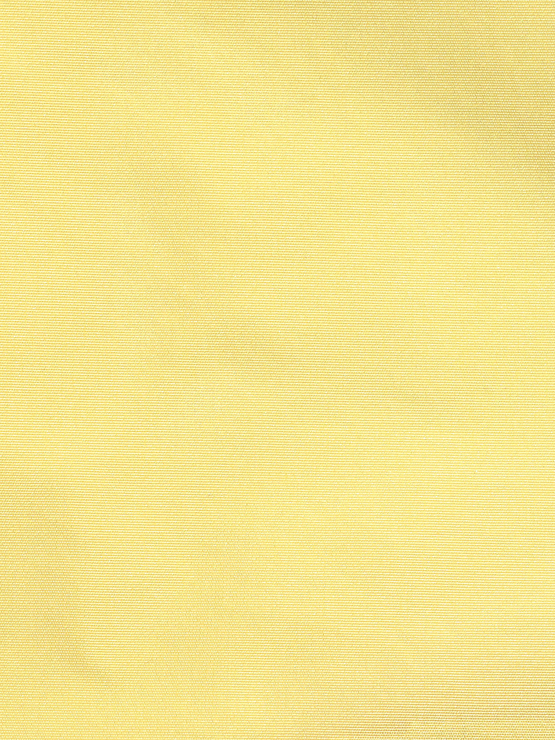 Taffeta Bs - Sunflower - Scalamandre Fabric