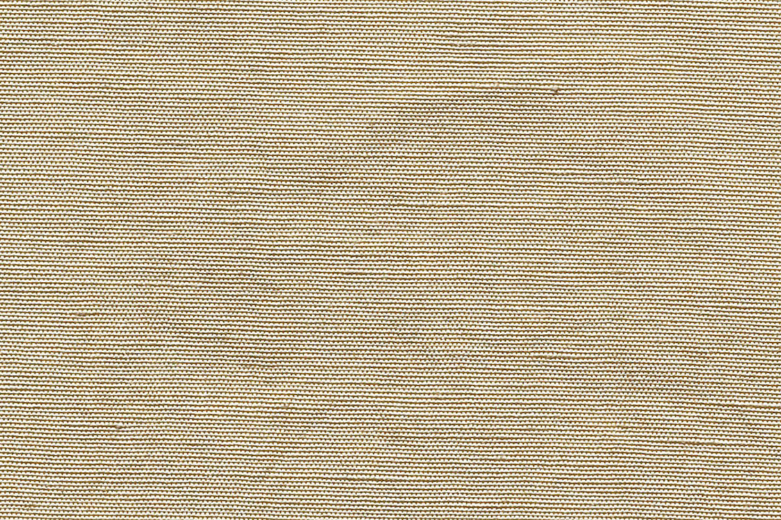 Beluna - Cashew