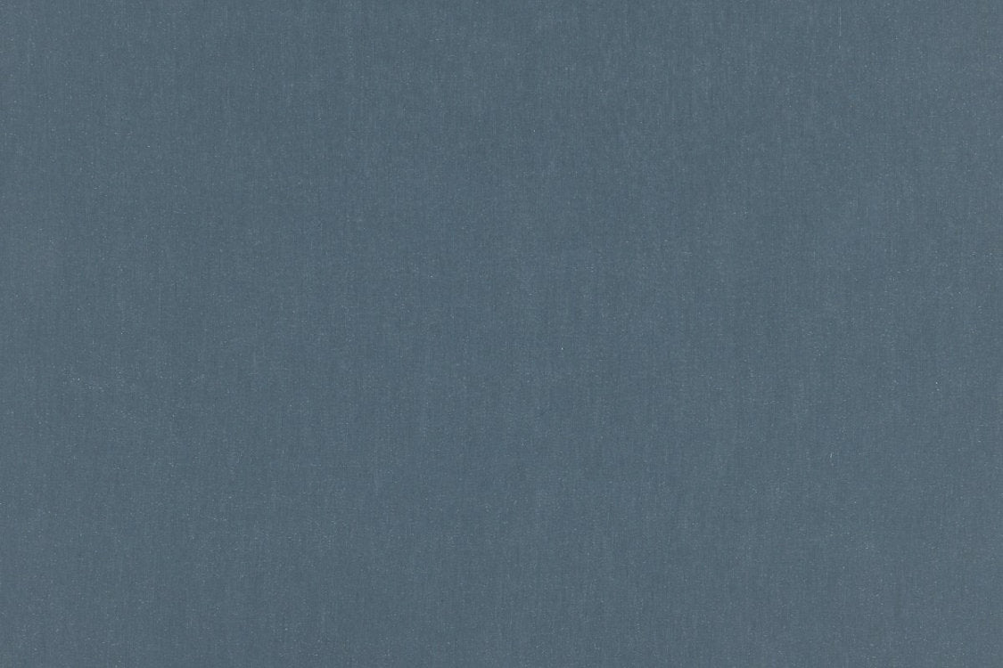 Gelo - Ink - Scalamandre Fabric