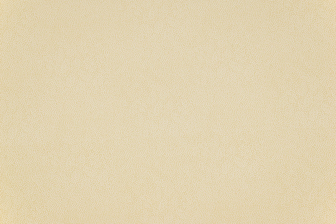 Phoenix Dot - Ivory