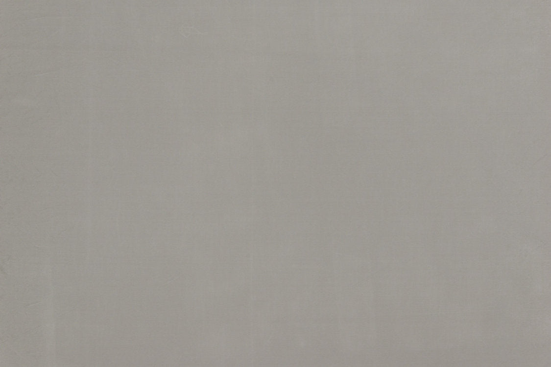 Bon Ton - Silver - Scalamandre Fabric
