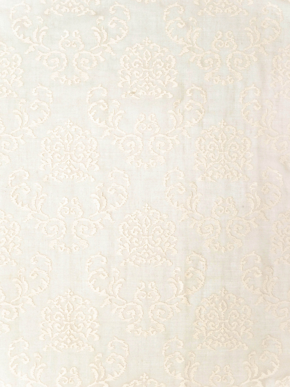 Ricciolino - Cream - Scalamandre Fabric