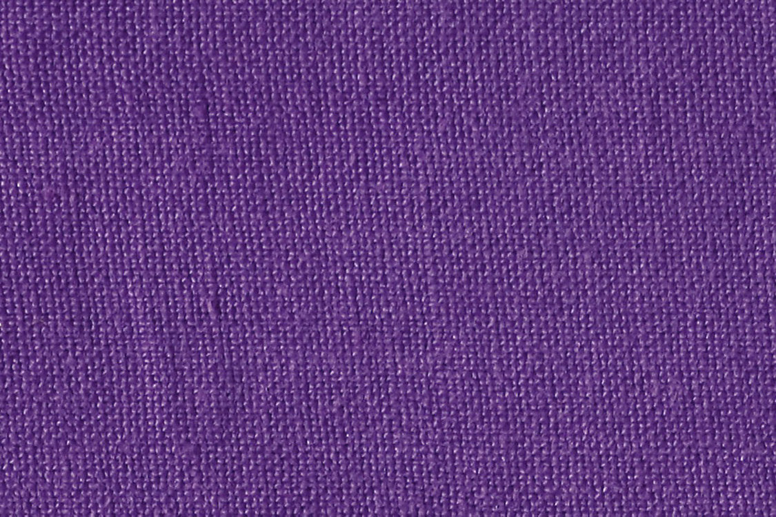 Casalino - Pansy - Scalamandre Fabric